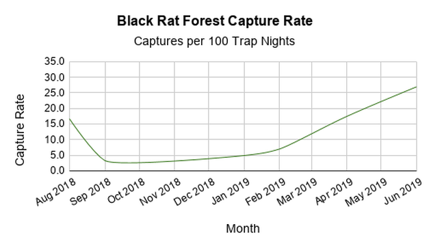 Snap trap capture rates of black rats in an East Cape recovering native forest.