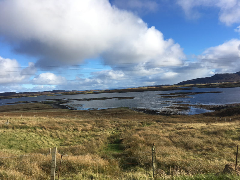 North Uist is a low-lying landscape with hundreds of lochs, lakes, ponds and wetlands that reflect its glacial landform carved during past ice ages. These provide magnificent habitat for the wading birds that come to the island to breed.