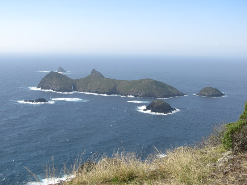 The Admiralty Islands north of Lord Howe are important seabird nesting islands.