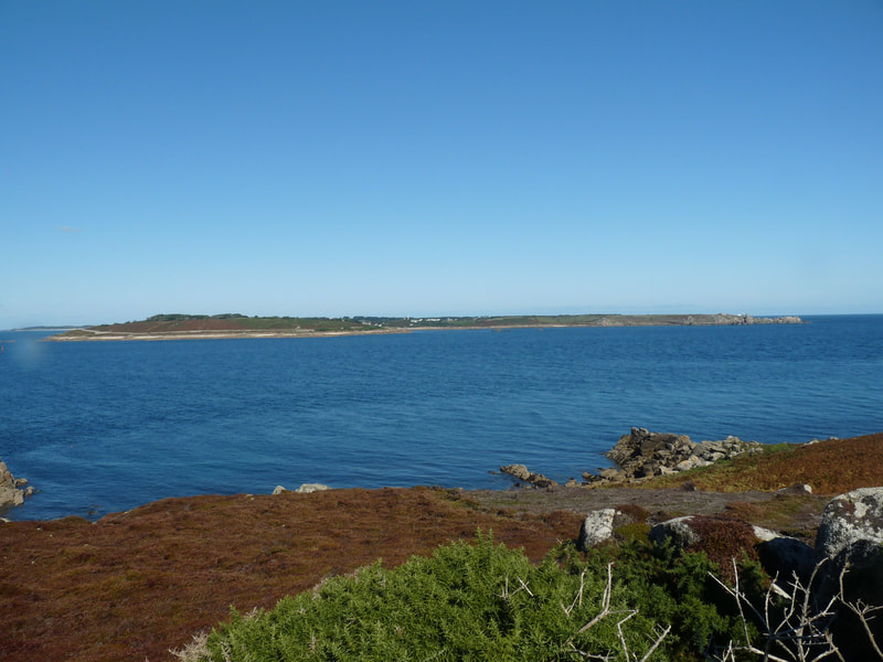 Looking across St Mary's Sound from Gugh to the south coast of St Mary's, a challenging swim for an invading rodent