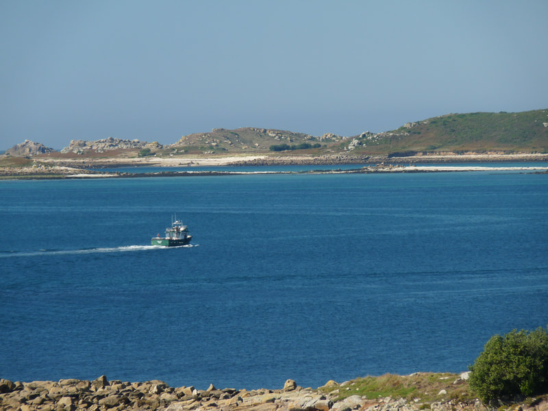 Scheduled tourist ferry services frequently criss cross between the different islands, most of which have invasive rats