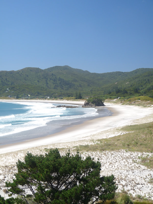The east coast of Aotea Great Barrier has many sweeping beaches of white sand with rolling surf and the blue water of the Pacific Ocean.