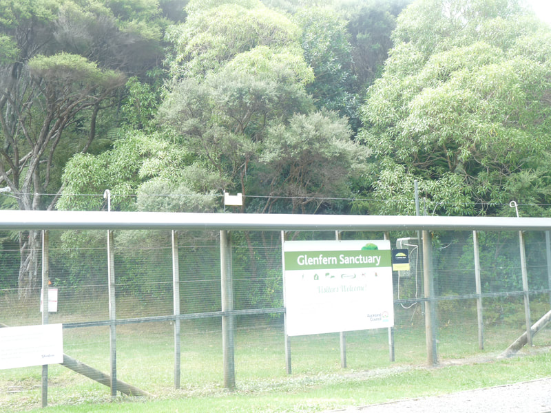 The Glenfern Sanctuary is a predator exclusion fenced reserve in Port Fitzroy at the northern end of the island.