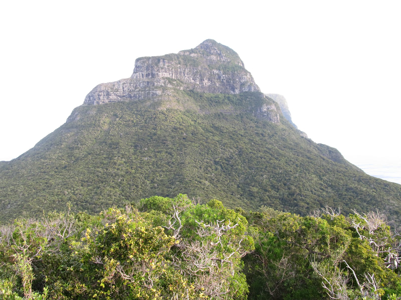 The rampart like cliffs and steep forested slopes of Mt Lidgbird.