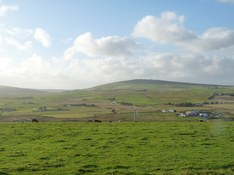 Mainland Orkney is a large island with sweeping landscapes dominated by agricultural land uses without forested habitats.