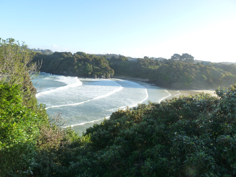 Sandy beaches and rolling surf are found in bays between rocky headlands and bush clad peninsulas along the northern coast of Rakiura Stewart Island facing out to Foveaux Strait.
